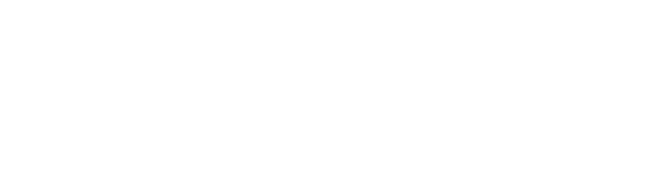 Tel Aviv Scouts Band logo