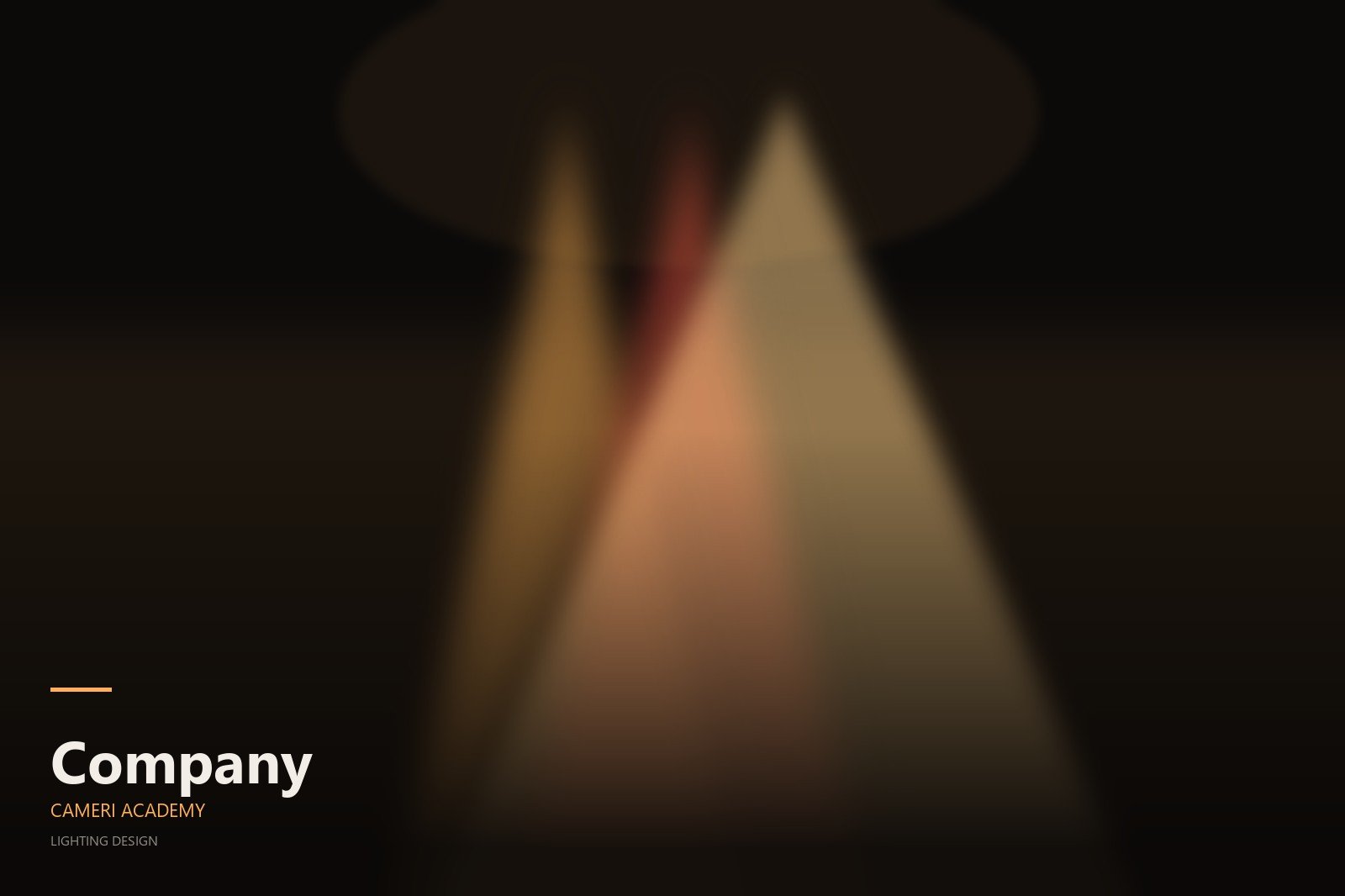 Company - Cameri Academy