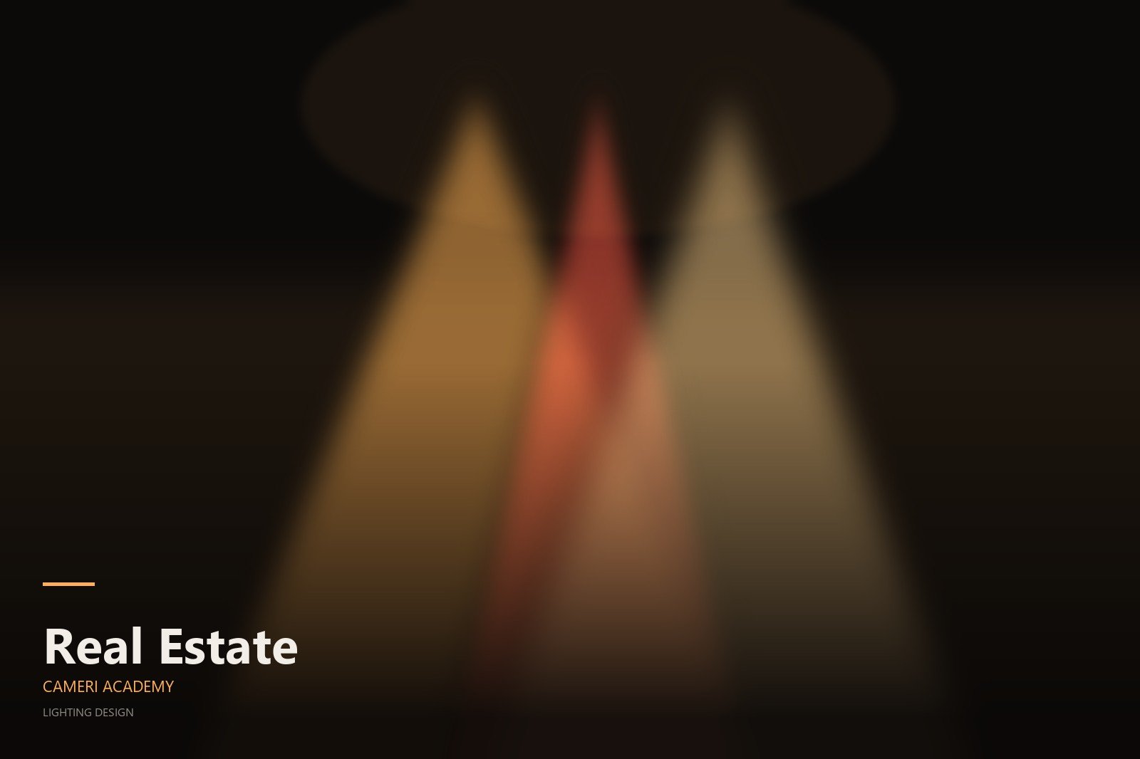 Real Estate - Cameri Academy