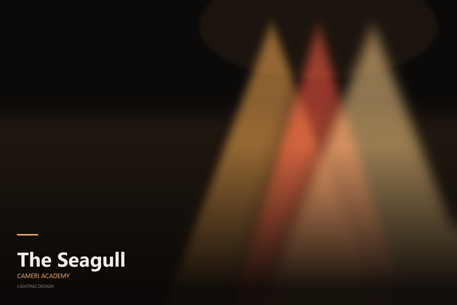 The Seagull - Cameri Academy