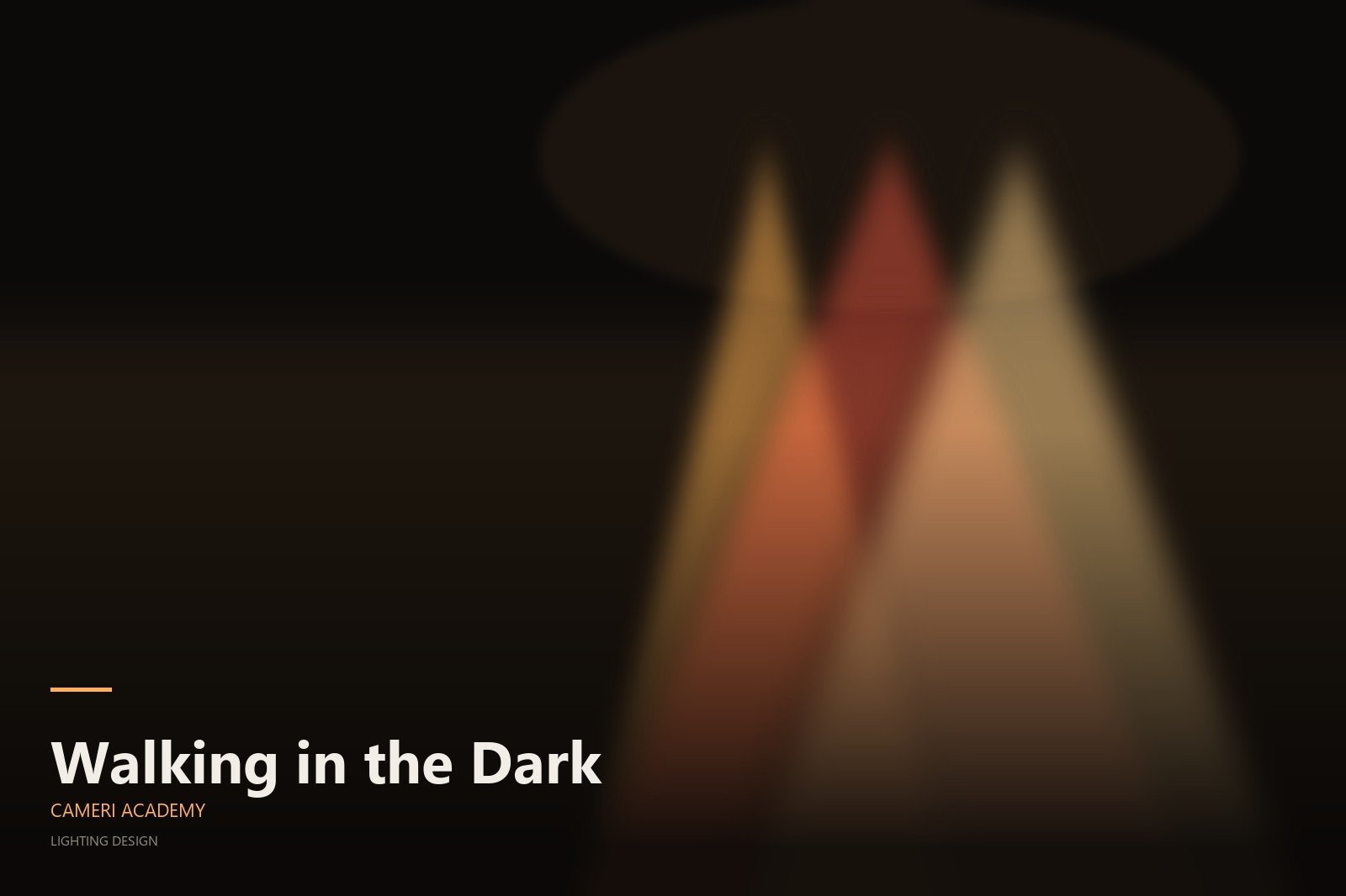 Walking in the Dark - Cameri Academy